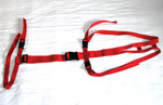 b prolapse harness