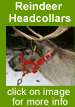 Reindeer headcollars